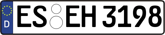 ES-EH3198