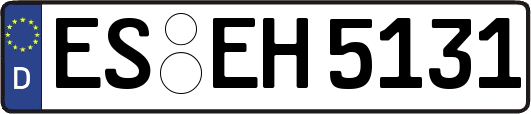 ES-EH5131