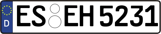 ES-EH5231
