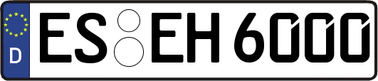 ES-EH6000
