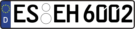 ES-EH6002