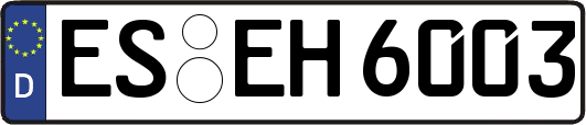 ES-EH6003