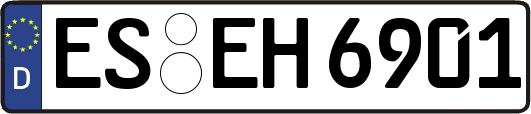 ES-EH6901