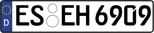 ES-EH6909