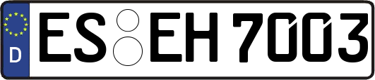 ES-EH7003