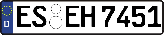 ES-EH7451