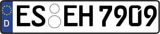 ES-EH7909