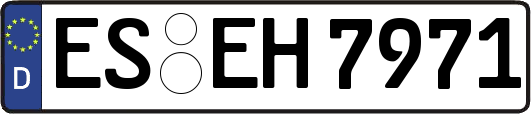 ES-EH7971