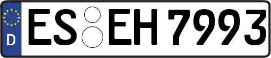 ES-EH7993