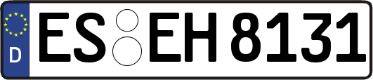 ES-EH8131