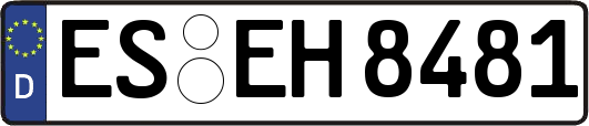 ES-EH8481