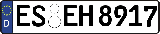 ES-EH8917