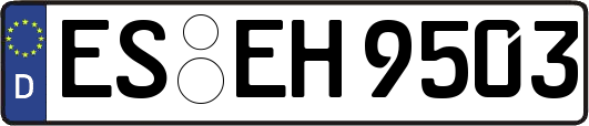 ES-EH9503
