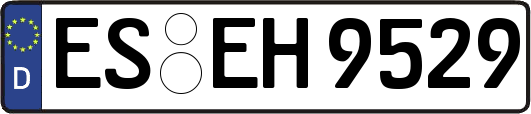 ES-EH9529