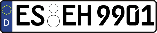 ES-EH9901
