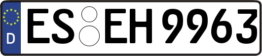 ES-EH9963