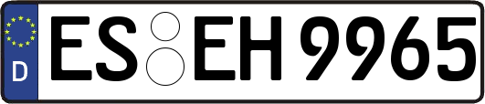 ES-EH9965