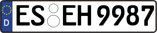 ES-EH9987