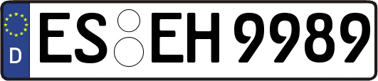 ES-EH9989