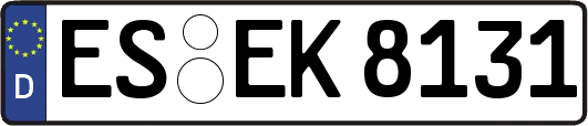 ES-EK8131