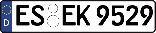 ES-EK9529