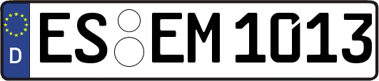 ES-EM1013