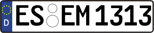 ES-EM1313