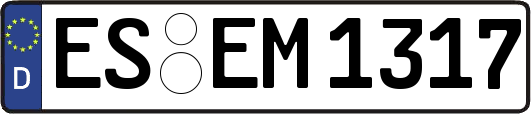 ES-EM1317