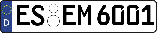 ES-EM6001