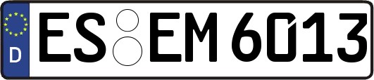 ES-EM6013