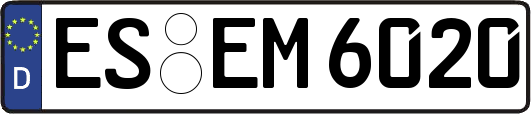 ES-EM6020