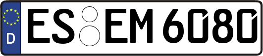 ES-EM6080