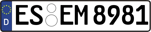 ES-EM8981