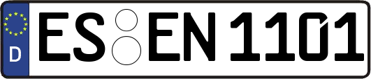 ES-EN1101