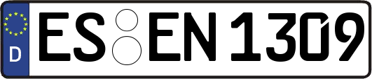 ES-EN1309