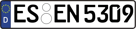 ES-EN5309