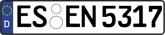 ES-EN5317