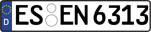 ES-EN6313