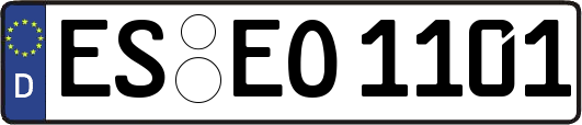 ES-EO1101