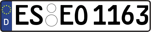 ES-EO1163