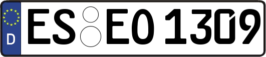 ES-EO1309