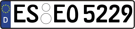 ES-EO5229