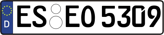 ES-EO5309