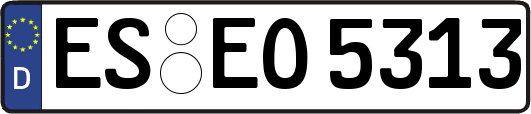 ES-EO5313
