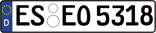 ES-EO5318