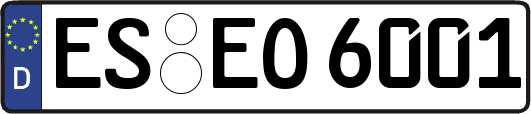 ES-EO6001