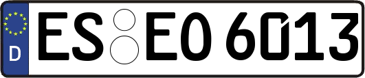 ES-EO6013