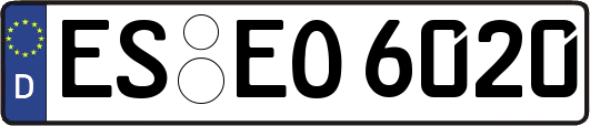 ES-EO6020