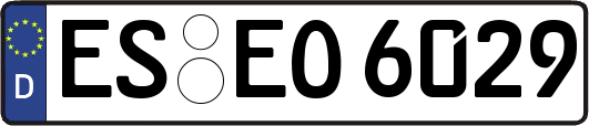 ES-EO6029