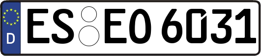 ES-EO6031